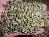 Послуги гранулятора (Гранулюю комбікорм) - <ro>Изображение</ro><ru>Изображение</ru> #1, <ru>Объявление</ru> #1740831