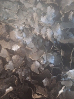 Макуха. Виробник. - <ro>Изображение</ro><ru>Изображение</ru> #2, <ru>Объявление</ru> #1743146