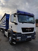 MAN TGS 2010 - <ro>Изображение</ro><ru>Изображение</ru> #1, <ru>Объявление</ru> #1747290