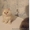 Котята-персы продам - <ro>Изображение</ro><ru>Изображение</ru> #2, <ru>Объявление</ru> #357216