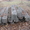 железо-бетонные балки - <ro>Изображение</ro><ru>Изображение</ru> #1, <ru>Объявление</ru> #476078