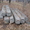 железо-бетонные балки - <ro>Изображение</ro><ru>Изображение</ru> #3, <ru>Объявление</ru> #476078