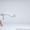 Капоэйра в Сумах Rabo de Arraia Capoeira - <ro>Изображение</ro><ru>Изображение</ru> #8, <ru>Объявление</ru> #944236