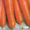 семена моркви Вита лонга #956656