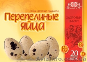 Продам перепелиные яйца - <ro>Изображение</ro><ru>Изображение</ru> #1, <ru>Объявление</ru> #210832
