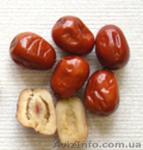 Подсушенные плоды Zizyphus jujuba dried fruit Зизифус,  Китайская жужуба
