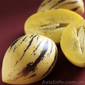 Семена пепино почтой