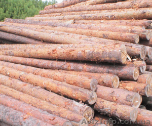 Продам РУДСТОЙКУ