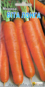 семена моркви Вита лонга - <ro>Изображение</ro><ru>Изображение</ru> #1, <ru>Объявление</ru> #956656