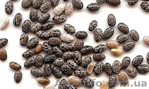 Семена чиа (испанский шалфей)