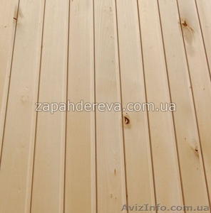 Липа медоносная. Вагонка