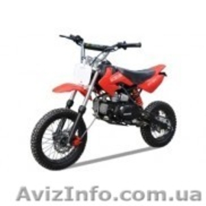 Питбайки на любой вкус.