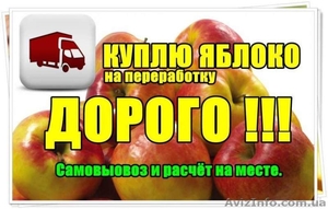 Куплю Яблоко на переработку, дoрoгo - <ro>Изображение</ro><ru>Изображение</ru> #1, <ru>Объявление</ru> #1309242