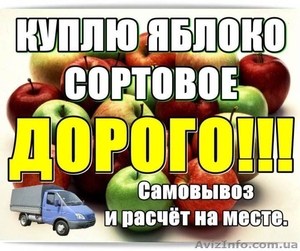 Куплю яблоко сортовое, дорoго. - <ro>Изображение</ro><ru>Изображение</ru> #1, <ru>Объявление</ru> #1314087