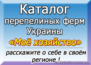Адреса перепелиных хозяйств в Украине - <ro>Изображение</ro><ru>Изображение</ru> #1, <ru>Объявление</ru> #1333937