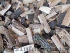 продам дрова твердых пород сумы - <ro>Изображение</ro><ru>Изображение</ru> #1, <ru>Объявление</ru> #1432858