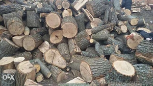 продам дрова твердых пород сумы - <ro>Изображение</ro><ru>Изображение</ru> #2, <ru>Объявление</ru> #1432858