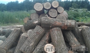 продам дрова твердых пород сумы - <ro>Изображение</ro><ru>Изображение</ru> #3, <ru>Объявление</ru> #1432858