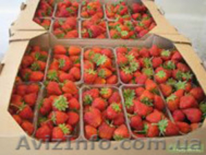 Продам картонный лоток,ящик под ягоду и фрукту - <ro>Изображение</ro><ru>Изображение</ru> #4, <ru>Объявление</ru> #1544113