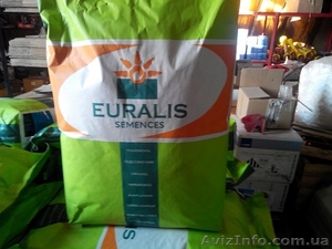 Продам семена подсолнечника Euralis - <ro>Изображение</ro><ru>Изображение</ru> #1, <ru>Объявление</ru> #1585686