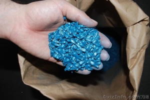 Насіння соняшника гібрид  КАРАТ,  НЕО,  ТОЛЕДО,  БАРСА