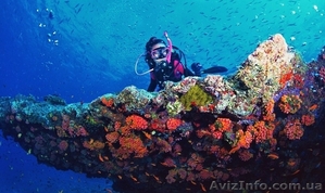 Отдых в Египте. Все прелести этой страны Ваше Объявление: 11147389