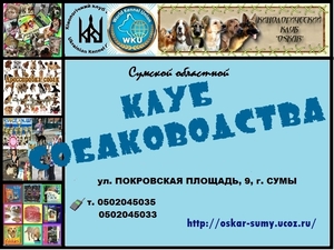 Приглашаем в КЛУБ СОБАКОВОДСТВА - <ro>Изображение</ro><ru>Изображение</ru> #1, <ru>Объявление</ru> #2995