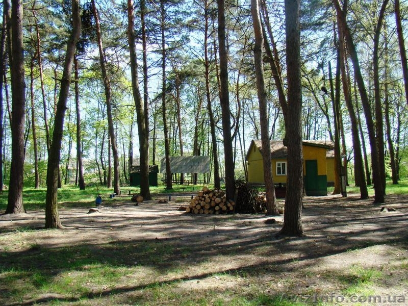 База отдыха Сумской р-н - <ro>Изображение</ro><ru>Изображение</ru> #1, <ru>Объявление</ru> #28588