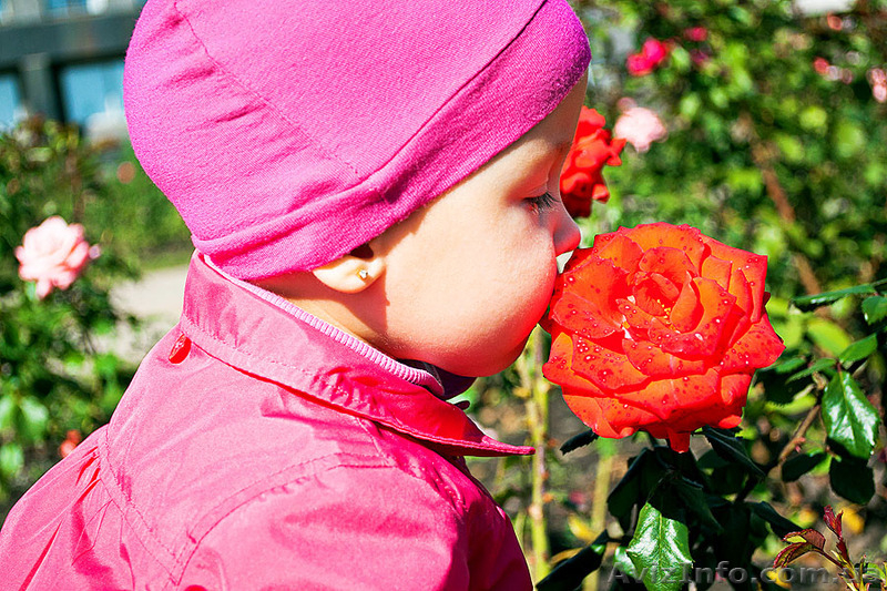 Фотограф Сергей Козолуп - <ro>Изображение</ro><ru>Изображение</ru> #10, <ru>Объявление</ru> #136464