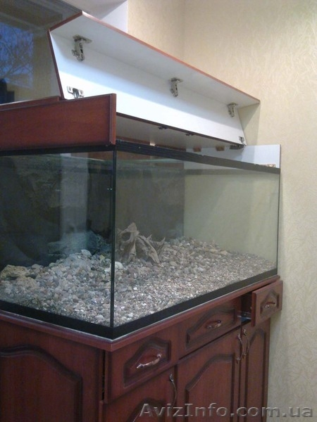 Продам Аквариум, Сумы - <ro>Изображение</ro><ru>Изображение</ru> #2, <ru>Объявление</ru> #152738