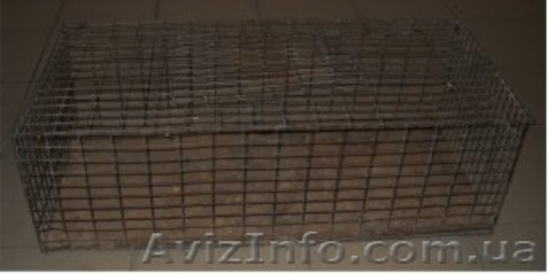 Клетка для транспортировки и торговли птицей - <ro>Изображение</ro><ru>Изображение</ru> #1, <ru>Объявление</ru> #513916