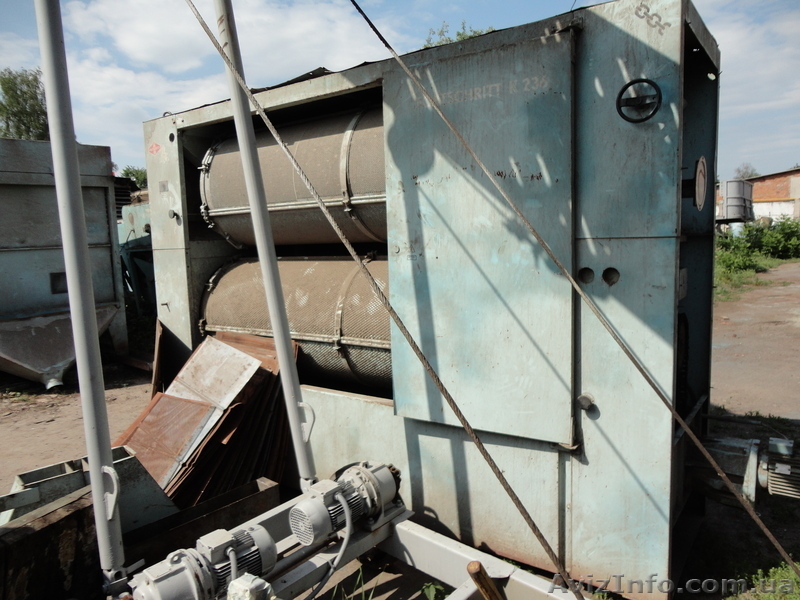 Немецкая семенная линия! - <ro>Изображение</ro><ru>Изображение</ru> #1, <ru>Объявление</ru> #681395