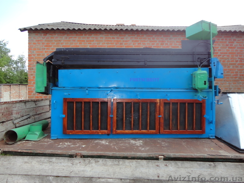 Немецкая семенная линия! - <ro>Изображение</ro><ru>Изображение</ru> #3, <ru>Объявление</ru> #681395