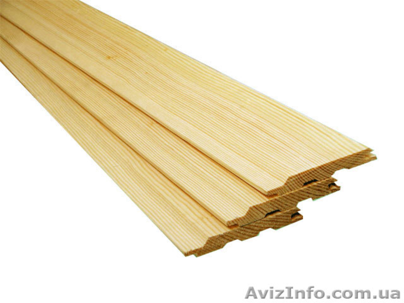 Лиственница сибирская Сумы Украина - <ro>Изображение</ro><ru>Изображение</ru> #1, <ru>Объявление</ru> #153150