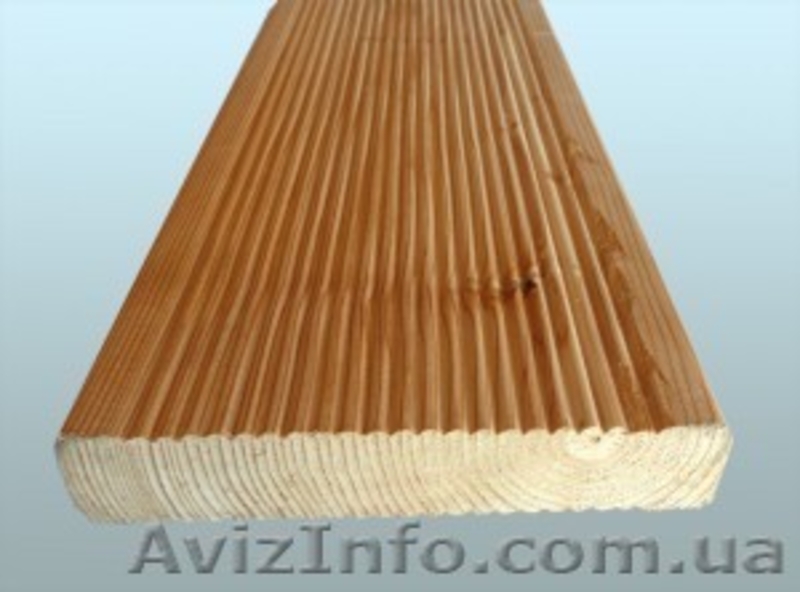 Лиственница сибирская Сумы Украина - <ro>Изображение</ro><ru>Изображение</ru> #3, <ru>Объявление</ru> #153150