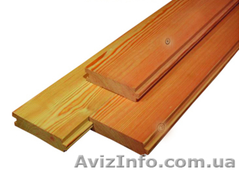 Лиственница сибирская Сумы Украина - <ro>Изображение</ro><ru>Изображение</ru> #2, <ru>Объявление</ru> #153150