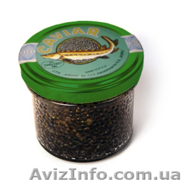 Черная осетровая (осетра) икра - <ro>Изображение</ro><ru>Изображение</ru> #4, <ru>Объявление</ru> #741028