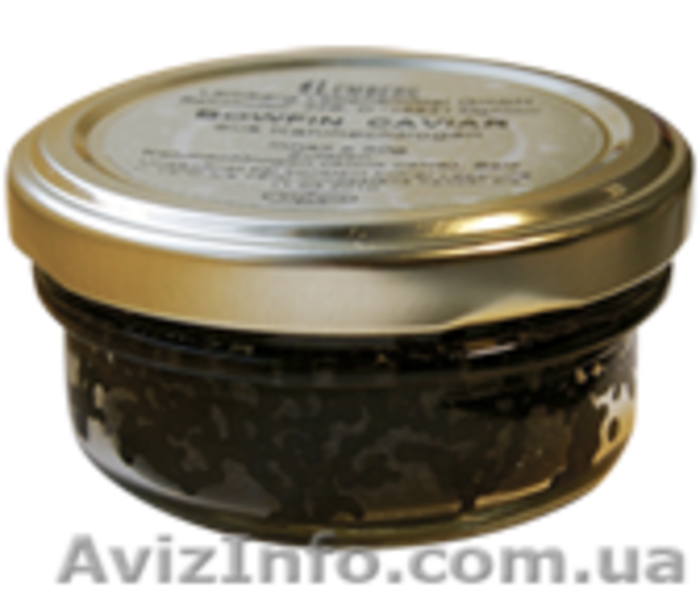Черная осетровая (осетра) икра - <ro>Изображение</ro><ru>Изображение</ru> #1, <ru>Объявление</ru> #741028