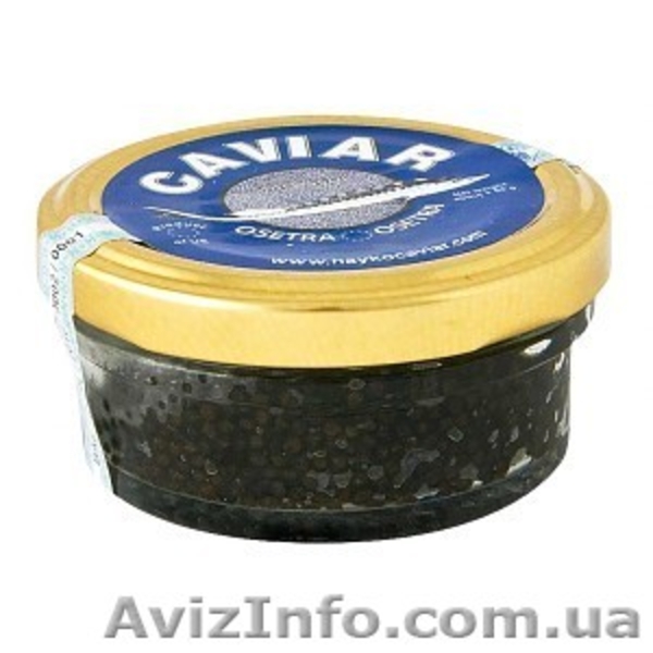 Черная осетровая (осетра) икра - <ro>Изображение</ro><ru>Изображение</ru> #8, <ru>Объявление</ru> #741028