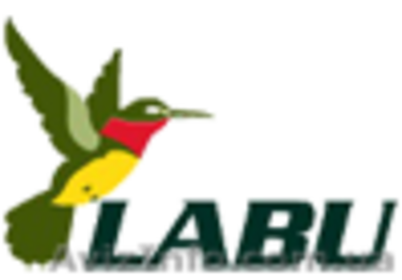 LABU - Интернет-витрина Модной Красивой Одежды - <ro>Изображение</ro><ru>Изображение</ru> #1, <ru>Объявление</ru> #796142