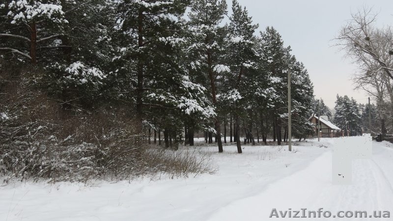 ПРОДАМ УЧАСТОК с. БИШКИНЬ 25соток - <ro>Изображение</ro><ru>Изображение</ru> #1, <ru>Объявление</ru> #833081