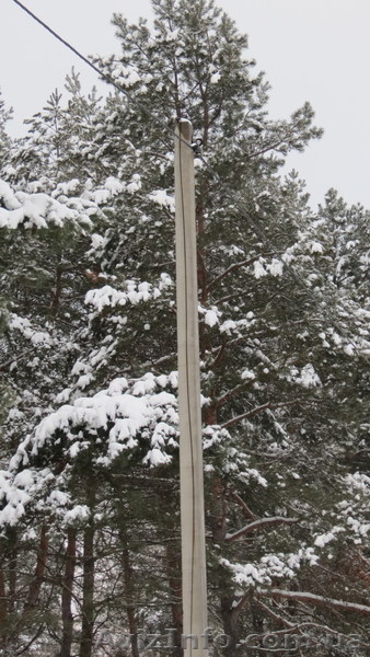 ПРОДАМ УЧАСТОК с. БИШКИНЬ 25соток - <ro>Изображение</ro><ru>Изображение</ru> #2, <ru>Объявление</ru> #833081