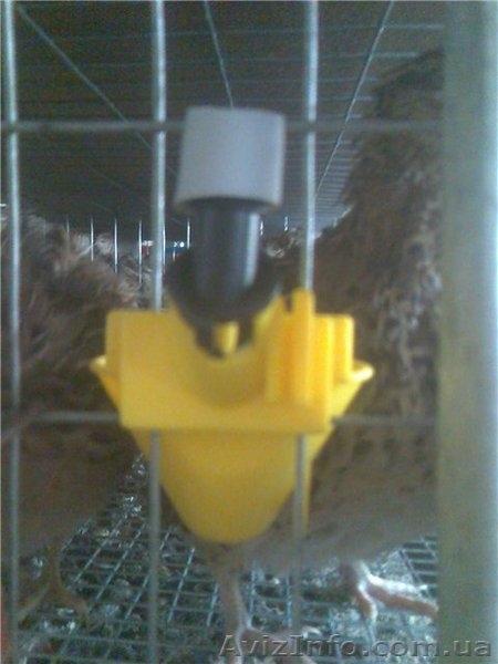 Микрочашечные поилки для поения перепелов, кур, фазанов, куропаток и т. п. - <ro>Изображение</ro><ru>Изображение</ru> #2, <ru>Объявление</ru> #848342