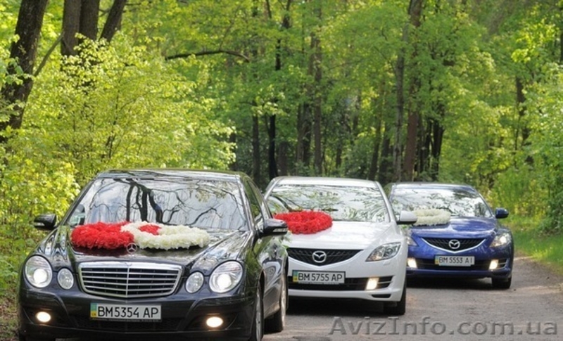 украшение свадебного кортежа машин - <ro>Изображение</ro><ru>Изображение</ru> #6, <ru>Объявление</ru> #881268