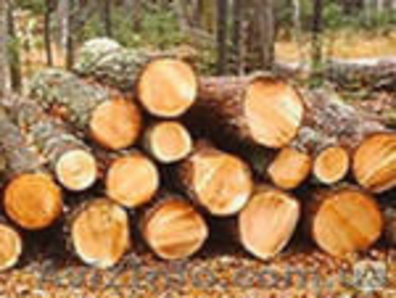 Продам пиломатериалы и палетную заготовку - <ro>Изображение</ro><ru>Изображение</ru> #3, <ru>Объявление</ru> #934196