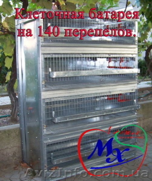 Клетки для содержания взрослых перепелов а частных хозяйствах. - <ro>Изображение</ro><ru>Изображение</ru> #2, <ru>Объявление</ru> #968546