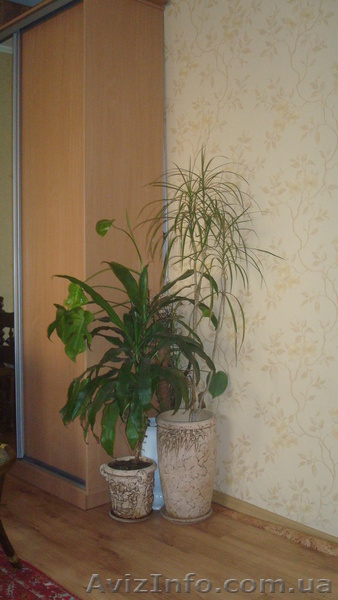 Псельская, комфортные полдома - <ro>Изображение</ro><ru>Изображение</ru> #4, <ru>Объявление</ru> #1110457