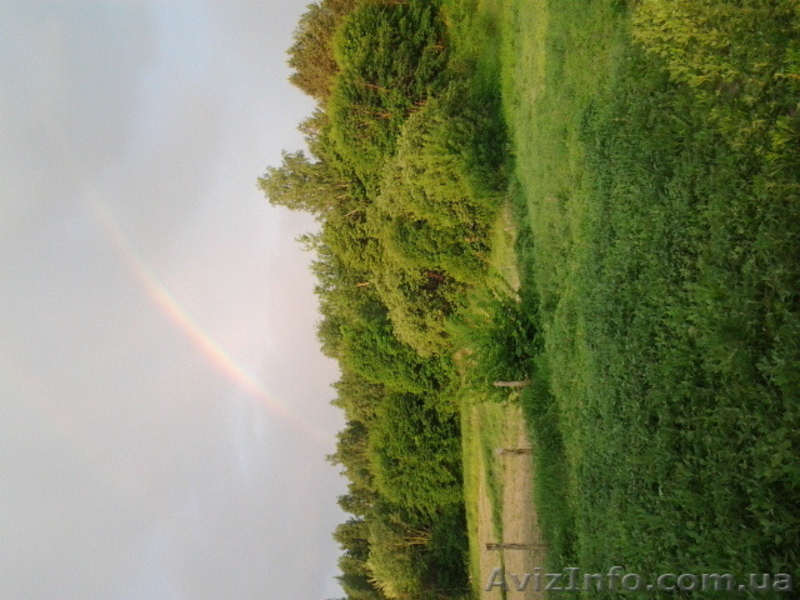 Продам или обменяю на дом в Крыму - <ro>Изображение</ro><ru>Изображение</ru> #8, <ru>Объявление</ru> #1282249