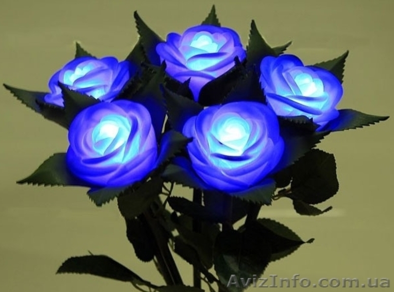 Светящаяся роза ночник, светящаяся роза купить, светящиеся цветы, Киев - <ro>Изображение</ro><ru>Изображение</ru> #3, <ru>Объявление</ru> #1288680