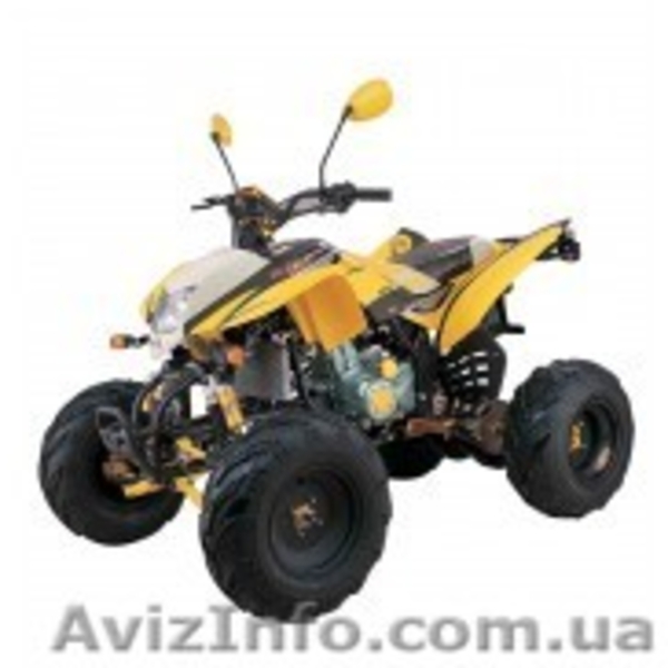 Квадроциклы  не дорого. - <ro>Изображение</ro><ru>Изображение</ru> #4, <ru>Объявление</ru> #1301095